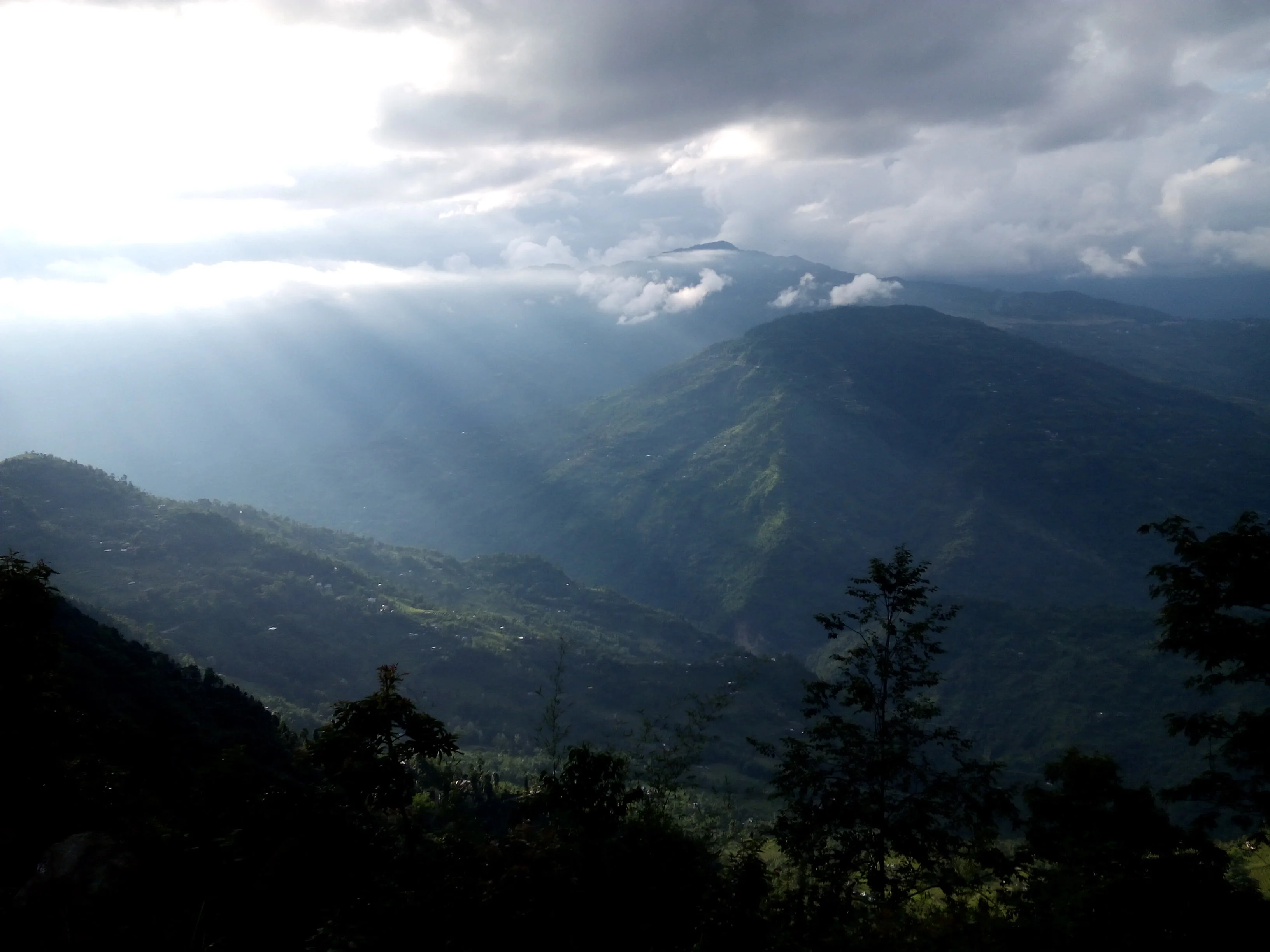 Pedong valley greenery