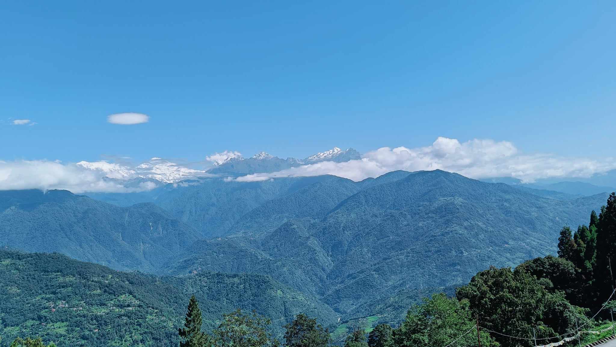 Beauty of lush green at Pelling