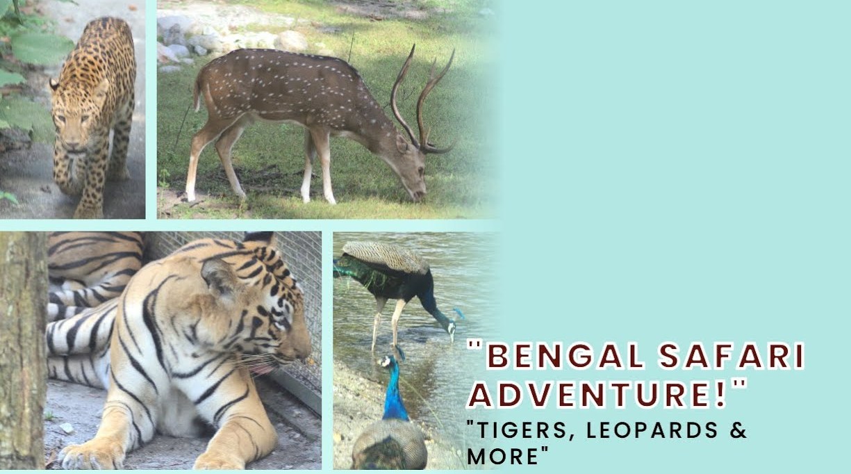 bengal safari tour to see wild animal