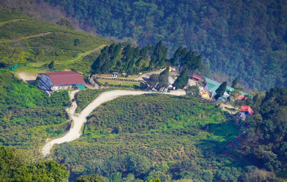 he Happy Valley Tea Estate caresses the misty hills of Darjeeling